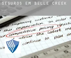 Seguros em Belle Creek