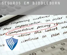Seguros em Biddleborn