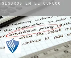 Seguros em  El Curuco