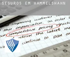 Seguros em  Hammelshahn