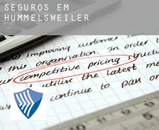 Seguros em  Hummelsweiler