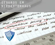 Seguros em  Niederterhaus