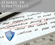 Seguros em  Nurneysville