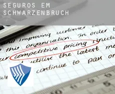 Seguros em  Schwarzenbruch