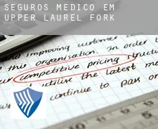 Seguros médico em  Upper Laurel Fork