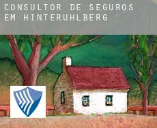 Consultor de seguros em  Hinteruhlberg