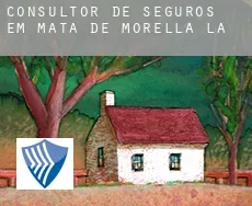 Consultor de seguros em  Mata de Morella (la)