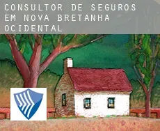 Consultor de seguros em  Nova Bretanha Ocidental