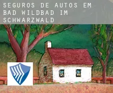 Seguros de autos em  Bad Wildbad im Schwarzwald