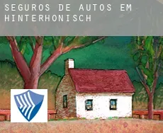 Seguros de autos em  Hinterhönisch