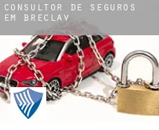 Consultor de seguros em  Břeclav