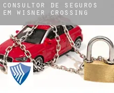 Consultor de seguros em  Wisner Crossing