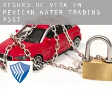Seguro de vida em  Mexican Water Trading Post