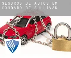 Seguros de autos em  Condado de Sullivan