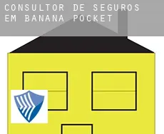 Consultor de seguros em  Banana Pocket