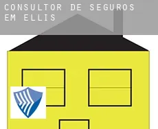 Consultor de seguros em  Ellis