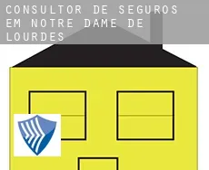 Consultor de seguros em  Notre Dame de Lourdes
