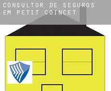 Consultor de seguros em  Petit Coincet