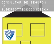 Consultor de seguros em  Südergotteskoogsdeich