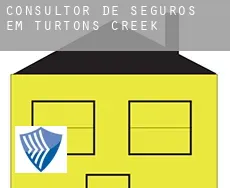 Consultor de seguros em  Turtons Creek