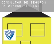 Consultor de seguros em  Windsor Forest