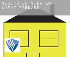 Seguro de vida em Chêne-Bernard