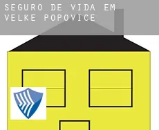 Seguro de vida em  Velké Popovice