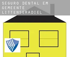 Seguro dental em  Gemeente Littenseradiel