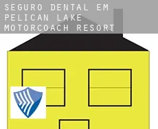 Seguro dental em  Pelican Lake Motorcoach Resort