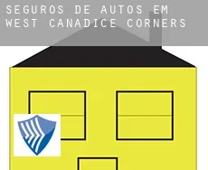 Seguros de autos em  West Canadice Corners