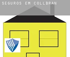 Seguros em  Collbran