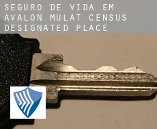 Seguro de vida em  Avalon Mulat