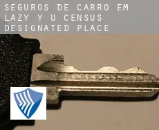 Seguros de carro em  Lazy Y U