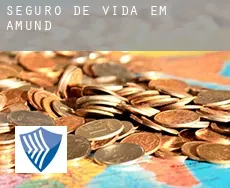 Seguro de vida em  Amund