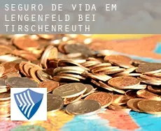 Seguro de vida em  Lengenfeld bei Tirschenreuth