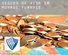 Seguro de vida em  Monroe Furnace