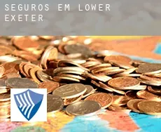 Seguros em  Lower Exeter