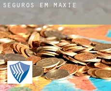 Seguros em  Maxie