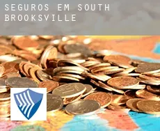 Seguros em  South Brooksville