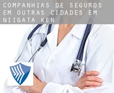 Companhias de seguros em  Outras cidades em Niigata-ken