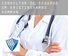 Consultor de seguros em Kristinehamns Kommun
