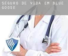 Seguro de vida em  Blue Goose