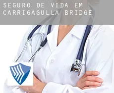 Seguro de vida em  Carrigagulla Bridge