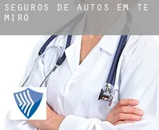 Seguros de autos em  Te Miro