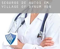 Seguros de autos em  Village of Bynum Run