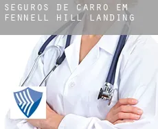 Seguros de carro em  Fennell Hill Landing