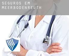 Seguros em  Meerbodenreuth