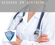Seguros em  Steyning