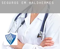 Seguros em  Waldhermes