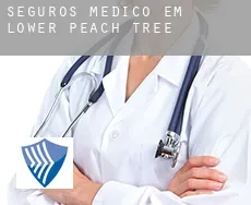 Seguros médico em  Lower Peach Tree